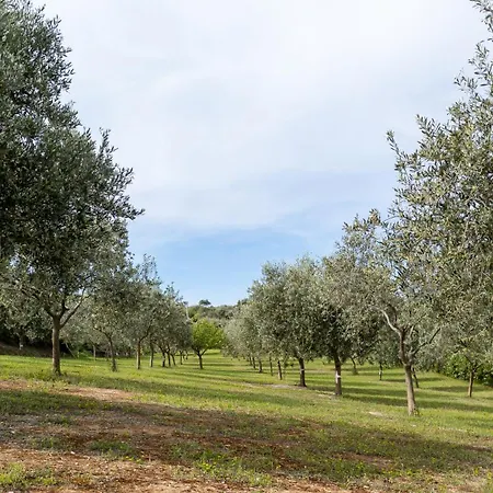 Asinara 公寓 索尔索