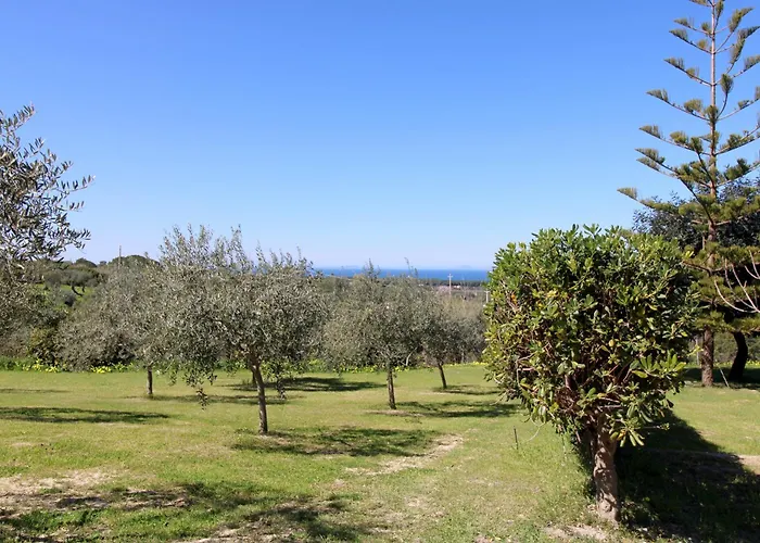 公寓 Asinara 索尔索