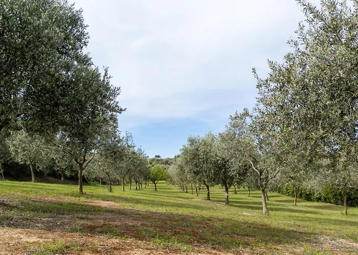 Asinara 公寓 索尔索